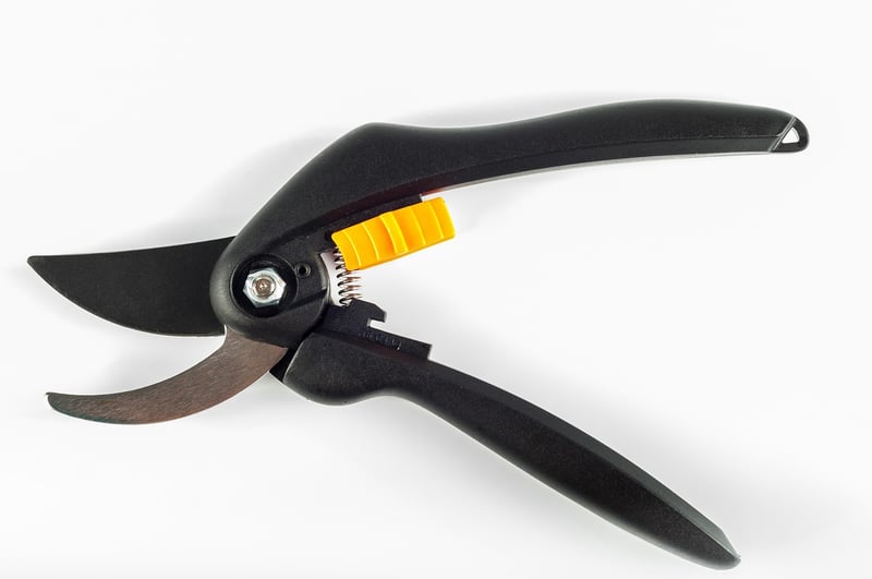 Pruning Shears